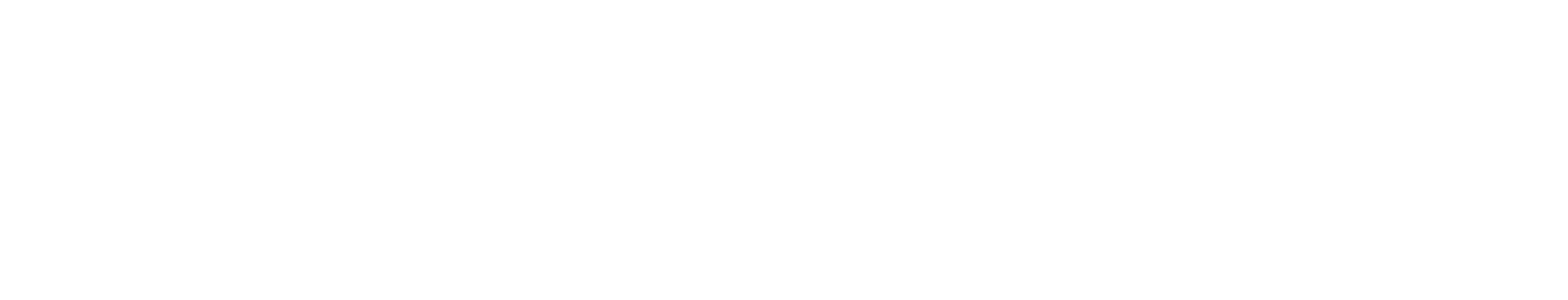 Emirates Islamic